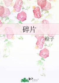 碎片