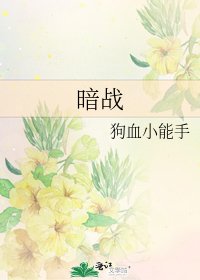暗战