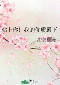 粘上你!我的優質殿下