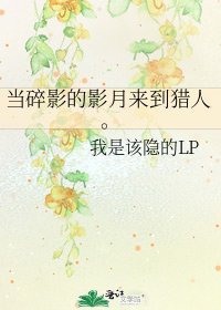 当碎影的影月来到猎人。
