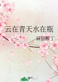 雲在青天水在瓶
