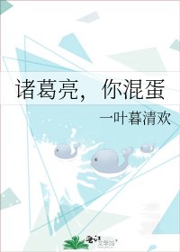 諸葛亮,你混蛋