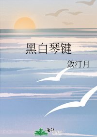 黑摆琴鍵