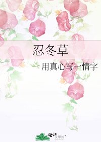 忍冬草
