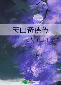 天山奇侠传