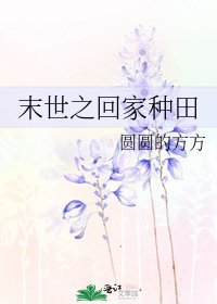 末世之回家種田