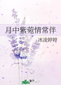 月中紫菀情常伴