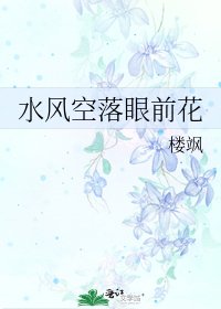 水风空落眼前花