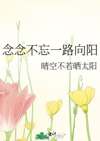 念念不忘一路向陽