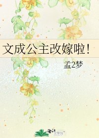 文成公主改嫁啦!