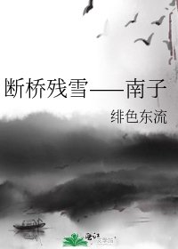 斷橋殘雪——南子