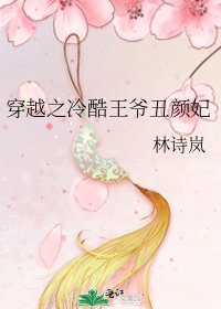 穿越之冷酷王爷丑颜妃