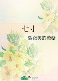 七寸