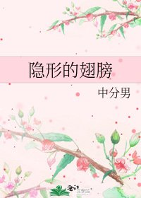 隐形的翅膀