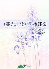 (暮光之城)黑夜迷影