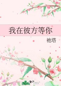 我在彼方等你