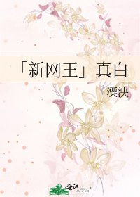 「新网王」真摆