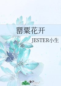 罌粟花開
