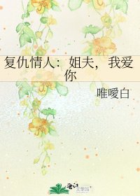 复仇情人:姐夫,我爱你