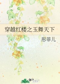 穿越红楼之玉舞天下