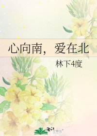 心向南,愛在北