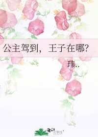 公主駕到,王子在哪?