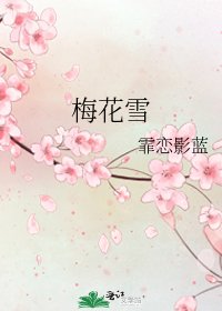梅花雪