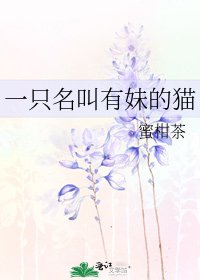 一隻名叫有妹的貓
