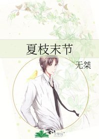 夏枝末节