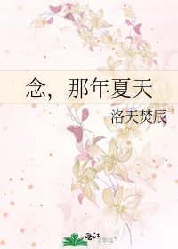 念,那年夏天