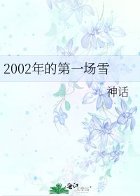 2002年的第一场雪