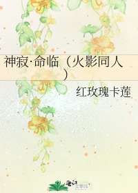 神寂·命臨(火影同人)