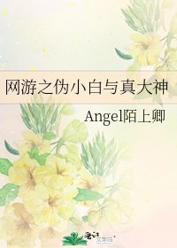网游之伪小白与真大神