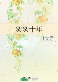 匆匆十年