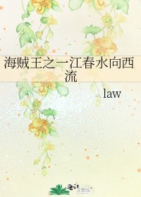 海贼王之一江春水向西流