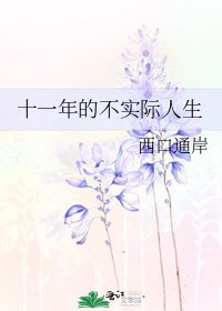 十一年的不實際人生