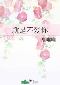 就是不愛你