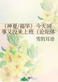 (神夏/福华)今天同事又没来上班(论坛体)