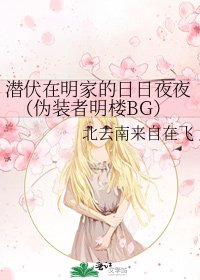 潜伏在明家的日日夜夜(伪装者明楼BG)