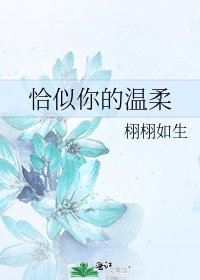 恰似你的溫柔