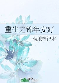 重生之锦年安好
