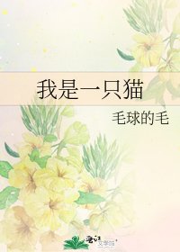 我是一隻貓
