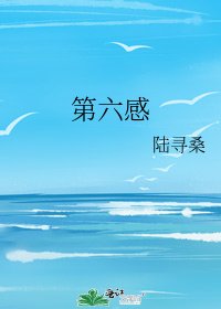第六感