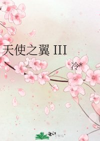 天使之翼 III