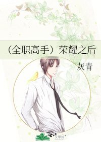 (全职高手)荣耀之后