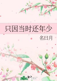只因当时还年少