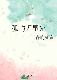 孤屿闪星光