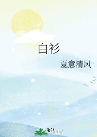 摆衫