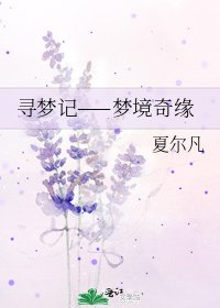 尋夢記——夢境奇緣