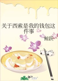 關於西索是我的錢包這件事